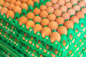 Brown Eggs (Crate)