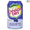 Canada Dry Blackberry Ginger Ale Can (12 oz)