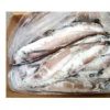Frozen Whiting Fish (Panla) - (Box)