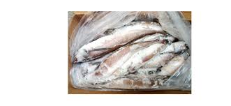 Frozen Whiting Fish (Panla) - (Box)