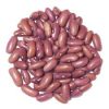 GTC Red Beans - Meringue (2lbs)