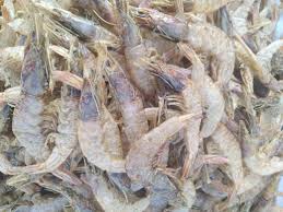 Shrimp Dry 250g